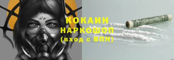 крисы Богородицк