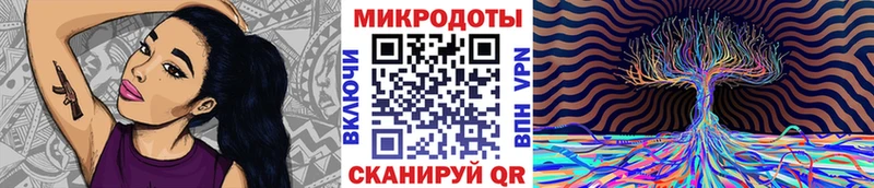 где продают   Свободный  Галлюциногенные грибы мухоморы 
