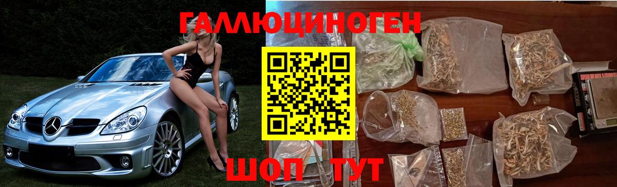 Галлюциногенные грибы GOLDEN TEACHER  магазин  наркотиков  Свободный  Вход с VPN 